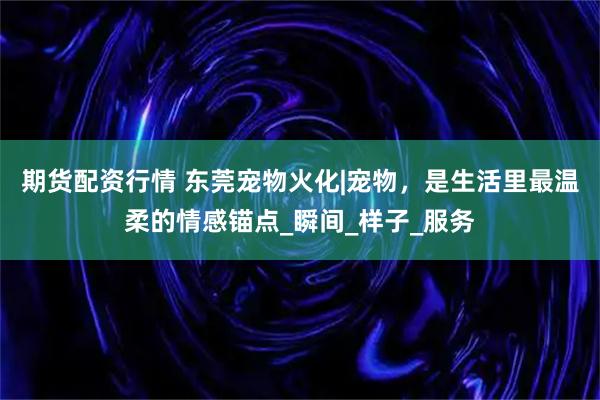 期货配资行情 东莞宠物火化|宠物，是生活里最温柔的情感锚点_瞬间_样子_服务