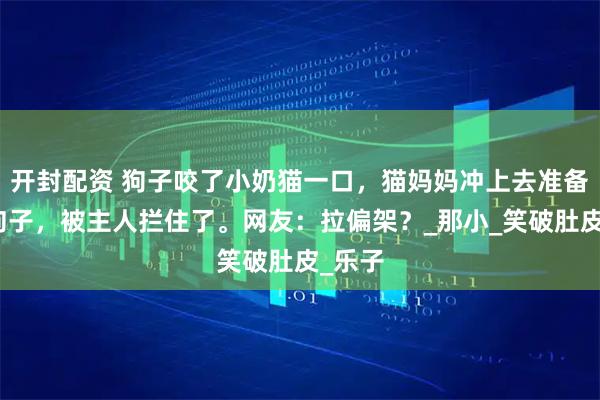 开封配资 狗子咬了小奶猫一口，猫妈妈冲上去准备教训狗子，被主人拦住了。网友：拉偏架？_那小_笑破肚皮_乐子