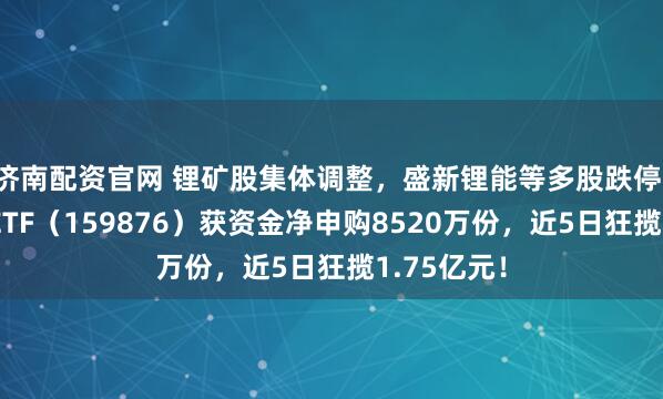 济南配资官网 锂矿股集体调整,盛新锂能等多股跌停!有色龙头ETF(159876)获资金净申购8520万份,近5日狂揽1.75亿元!