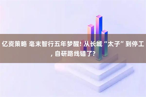 亿资策略 毫末智行五年梦醒! 从长城“太子”到停工, 自研路线错了?